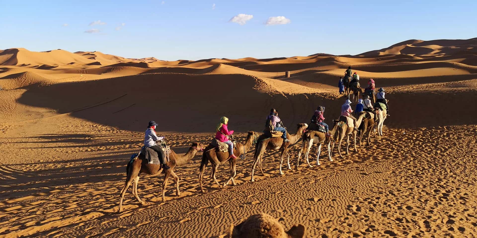 A camel train resting on the sand