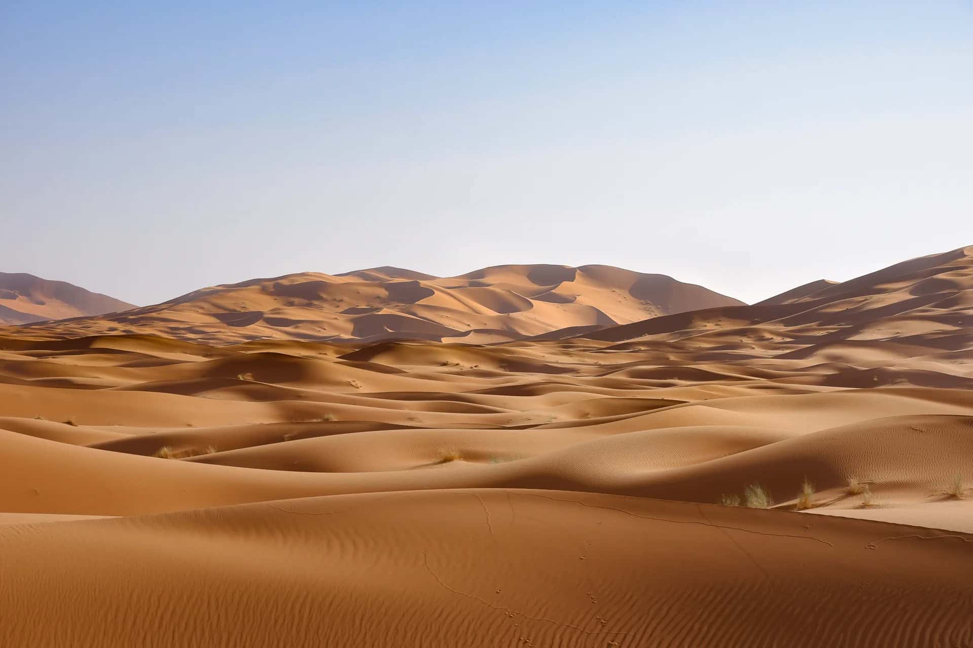 Erg Chebbi dune field under a clear sky