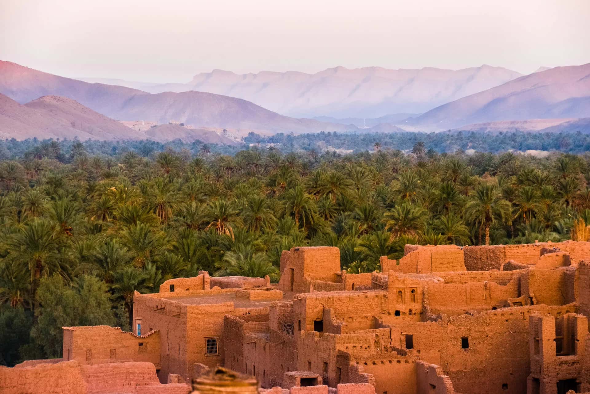 Kasbah above a palm oasis