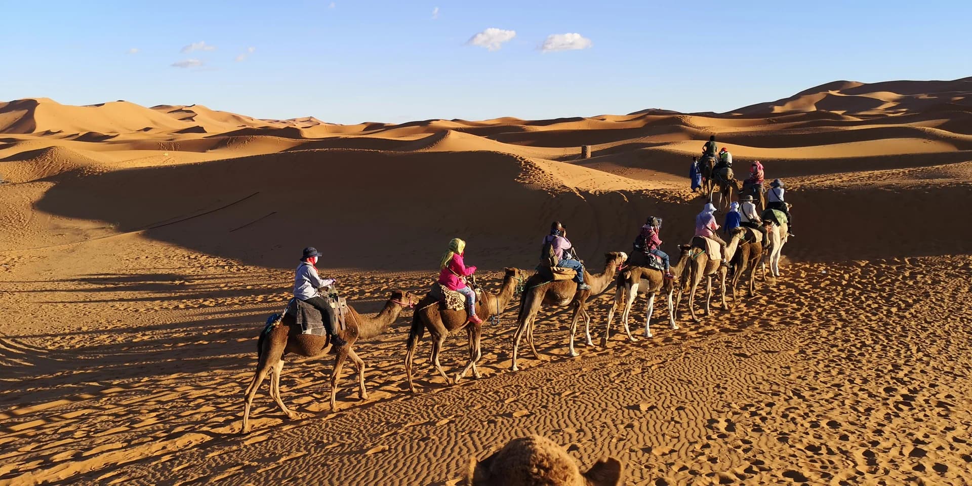 A camel train resting on the sand