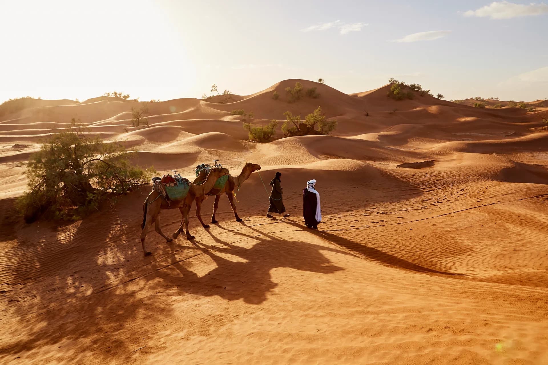Erg Chebbi dunes at golden hour, camp and camels below