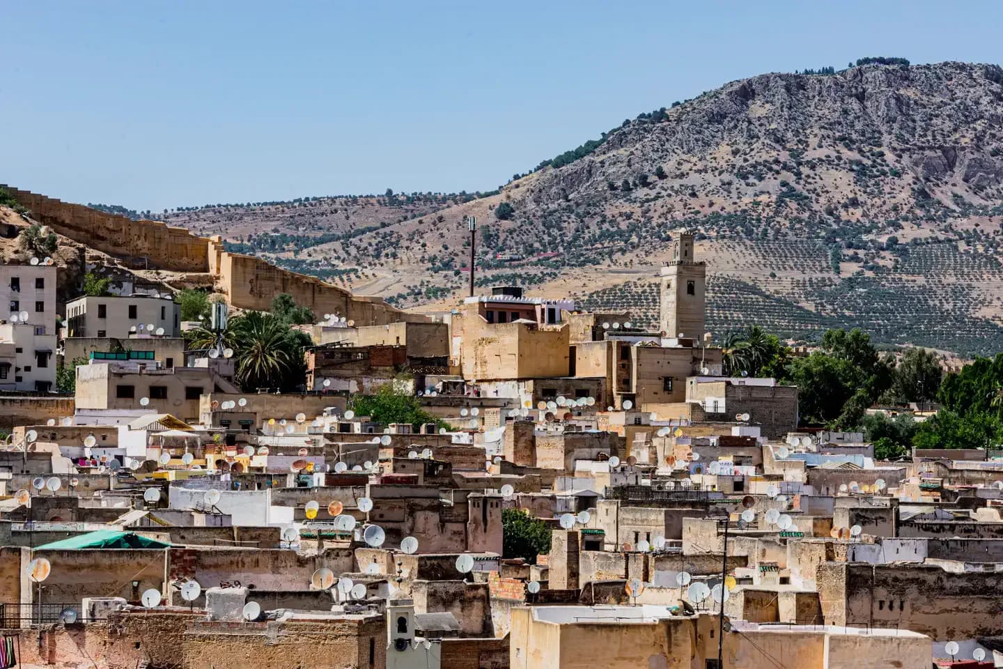 The rooftops of Fes below the old walls and the olive hills