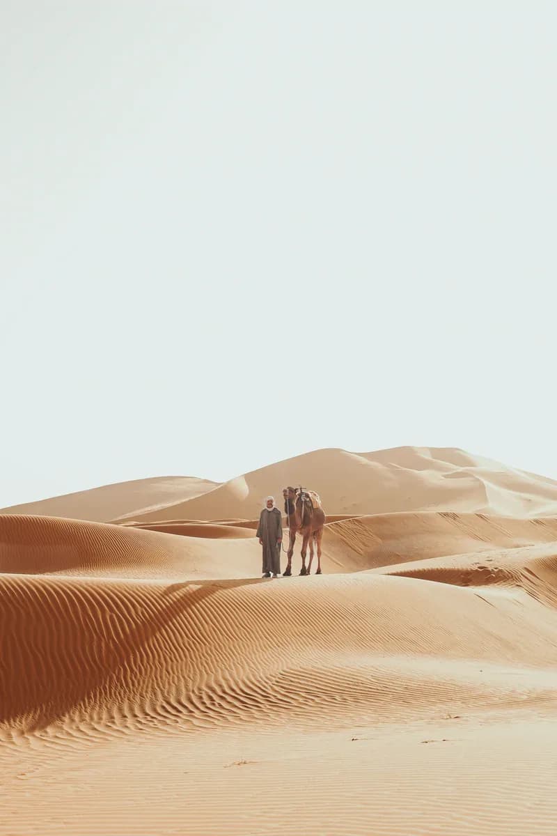 A guide and his camel on a dune crest under a pale sky