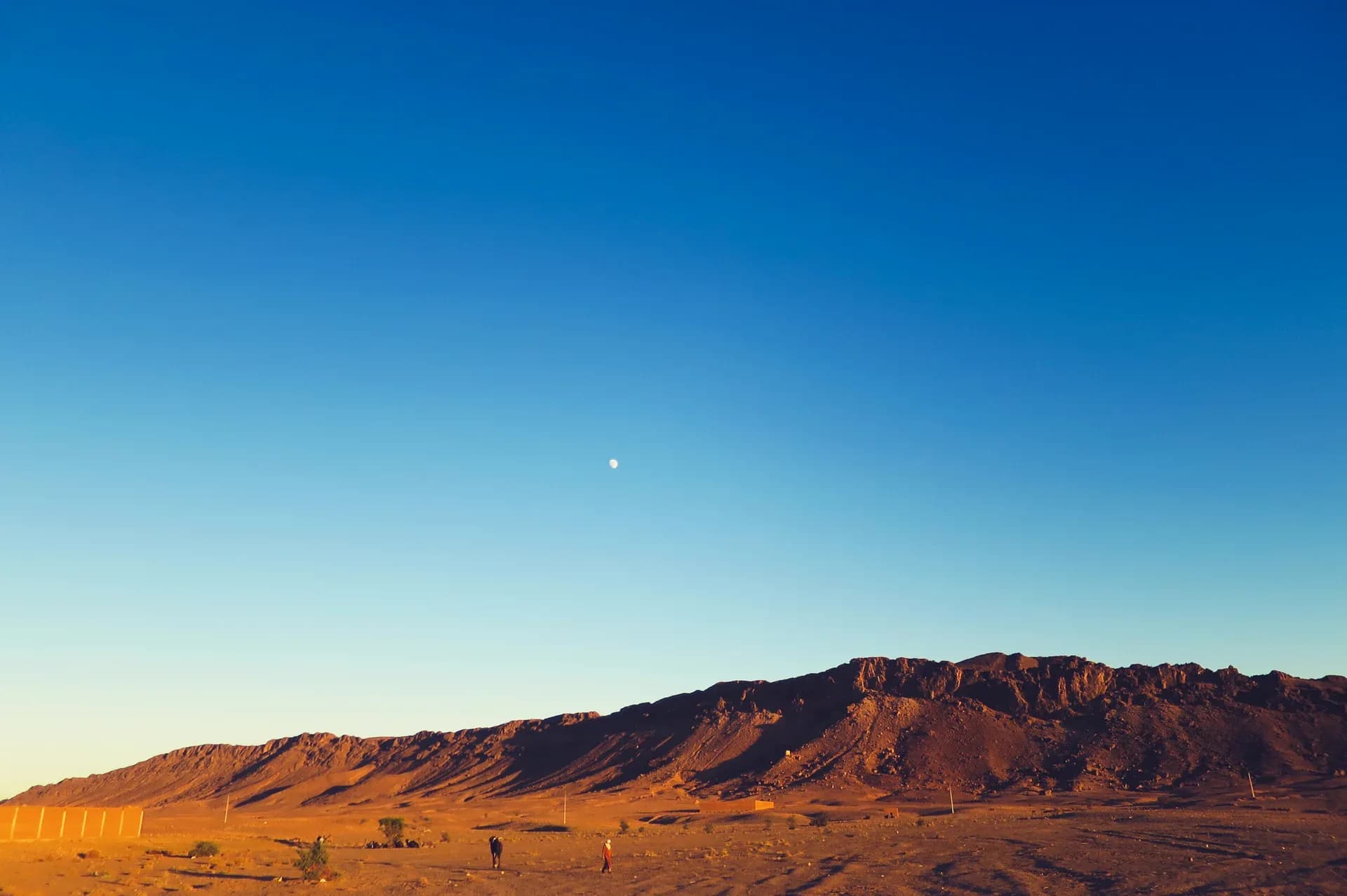The moon over the jebel at Zagora at sunset, a camel and a walker on the plain